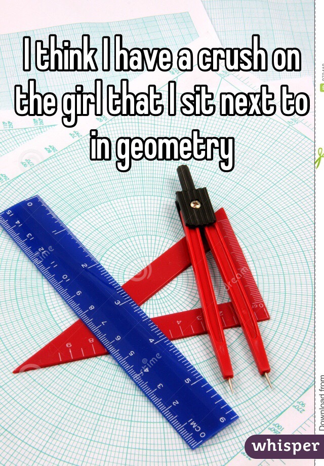 I think I have a crush on the girl that I sit next to in geometry
