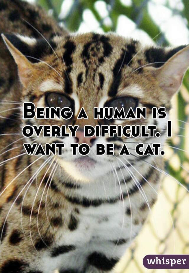 Being a human is overly difficult. I want to be a cat. 