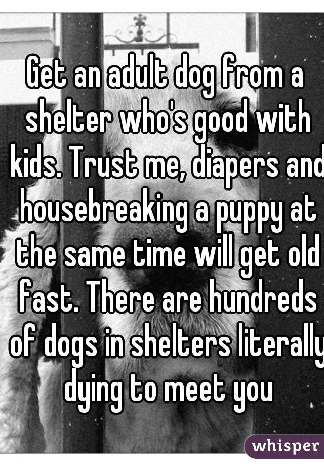 Get an adult dog from a shelter who's good with kids. Trust me, diapers and housebreaking a puppy at the same time will get old fast. There are hundreds of dogs in shelters literally dying to meet you