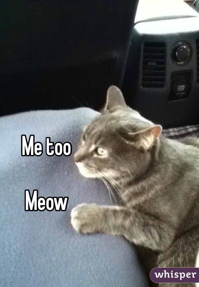 Me too

Meow