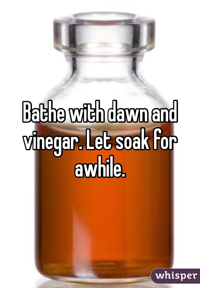 Bathe with dawn and vinegar. Let soak for awhile. 