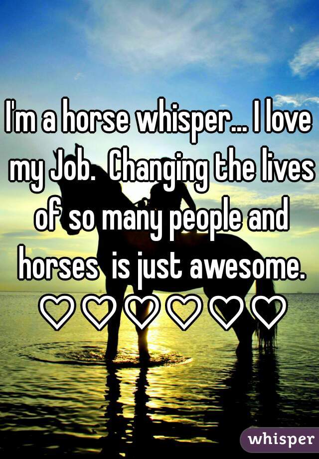 I'm a horse whisper... I love my Job.  Changing the lives of so many people and horses  is just awesome. ♡♡♡♡♡♡