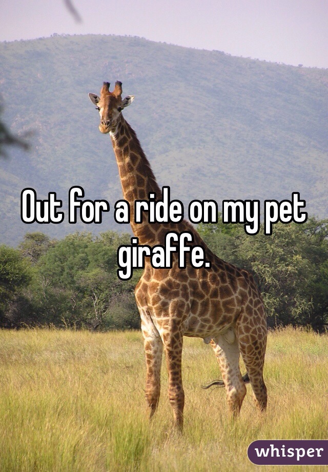Out for a ride on my pet giraffe.