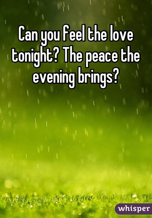 Can you feel the love tonight? The peace the evening brings?