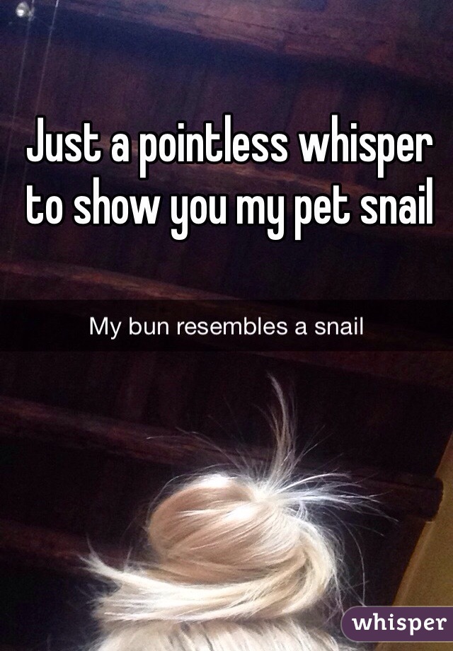 Just a pointless whisper to show you my pet snail 