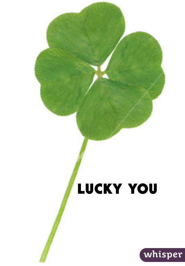 lucky you 