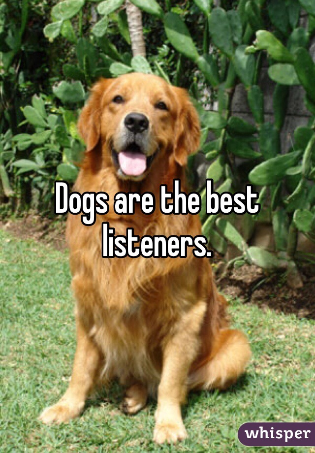 Dogs are the best listeners.