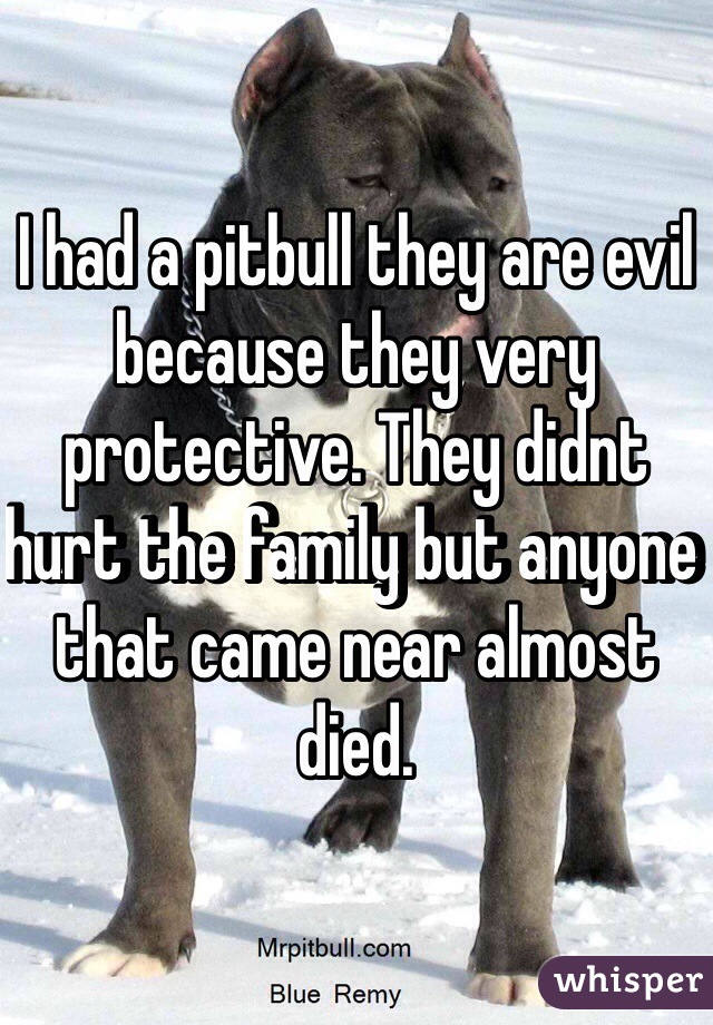 I had a pitbull they are evil because they very protective. They didnt hurt the family but anyone that came near almost died.