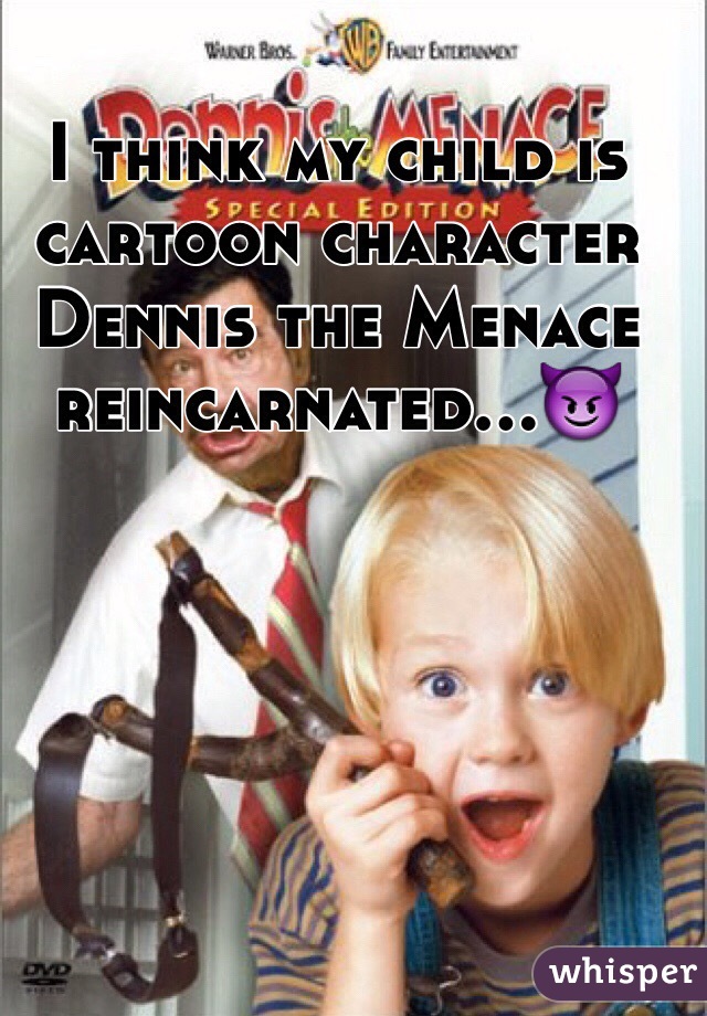 I think my child is 
cartoon character Dennis the Menace reincarnated...😈
