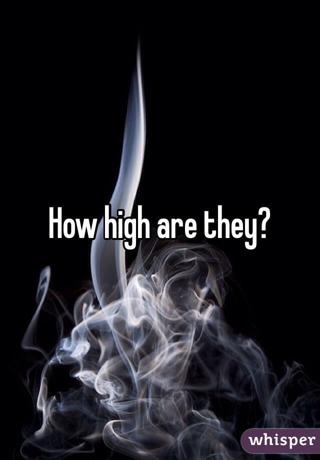 How high are they? 