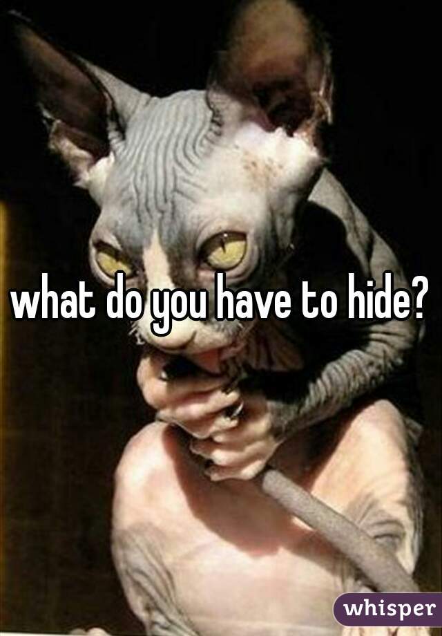 what do you have to hide?