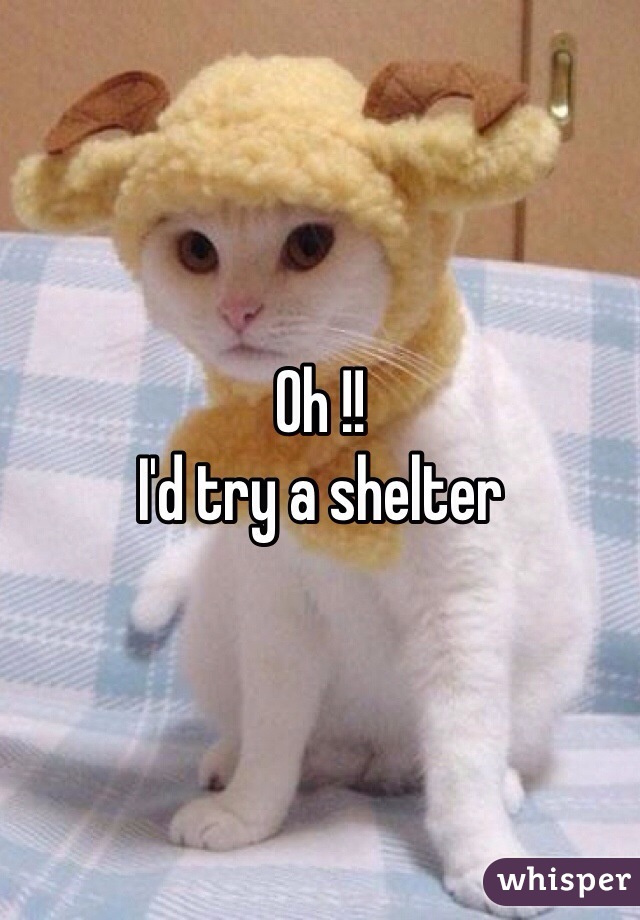 Oh !!
I'd try a shelter