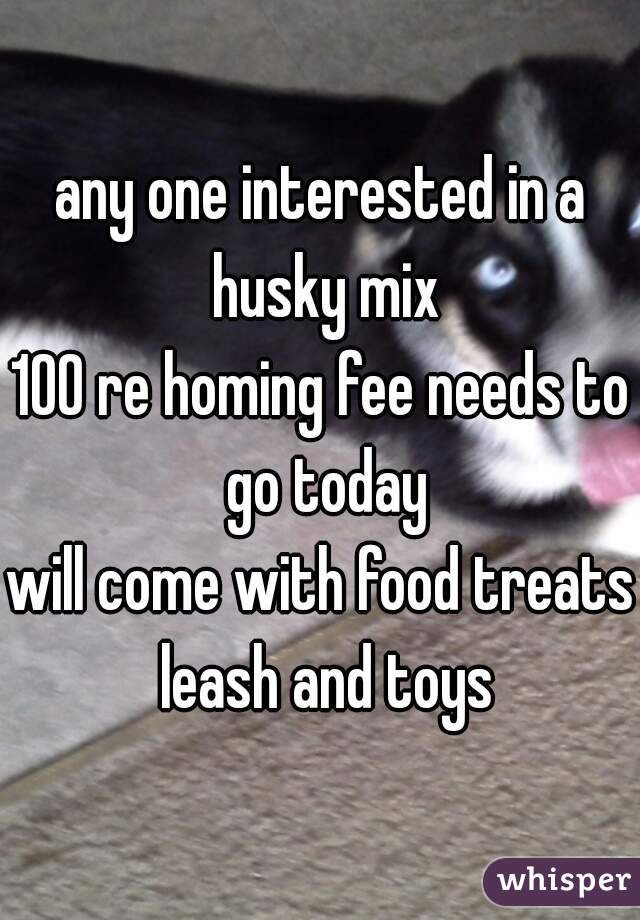 any one interested in a husky mix
100 re homing fee needs to go today
will come with food treats leash and toys
