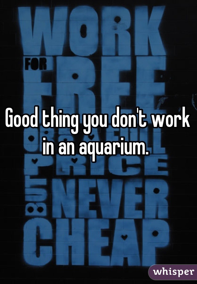 Good thing you don't work in an aquarium. 