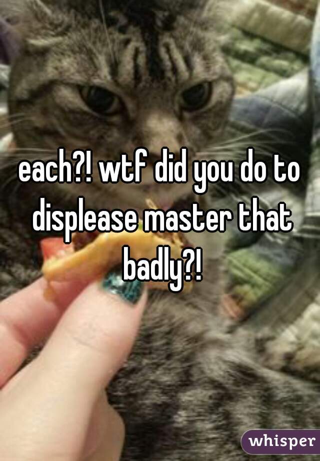each?! wtf did you do to displease master that badly?!