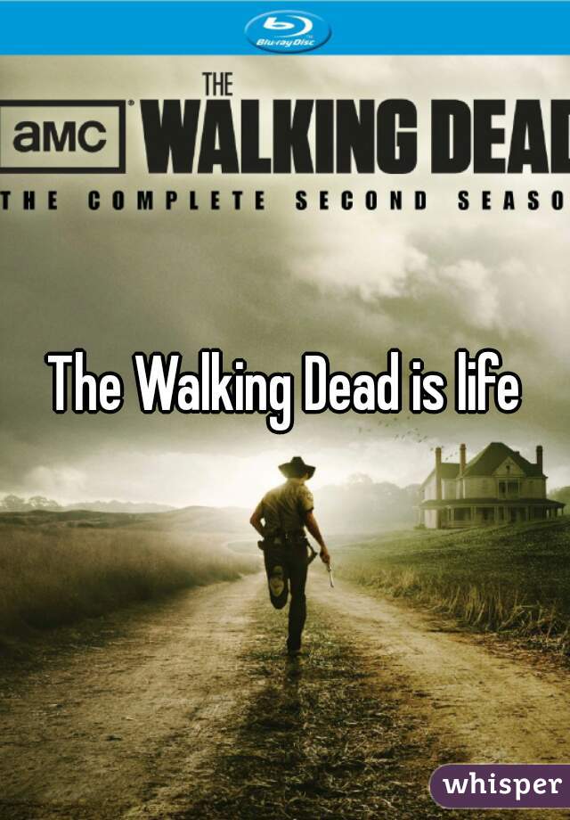 The Walking Dead is life