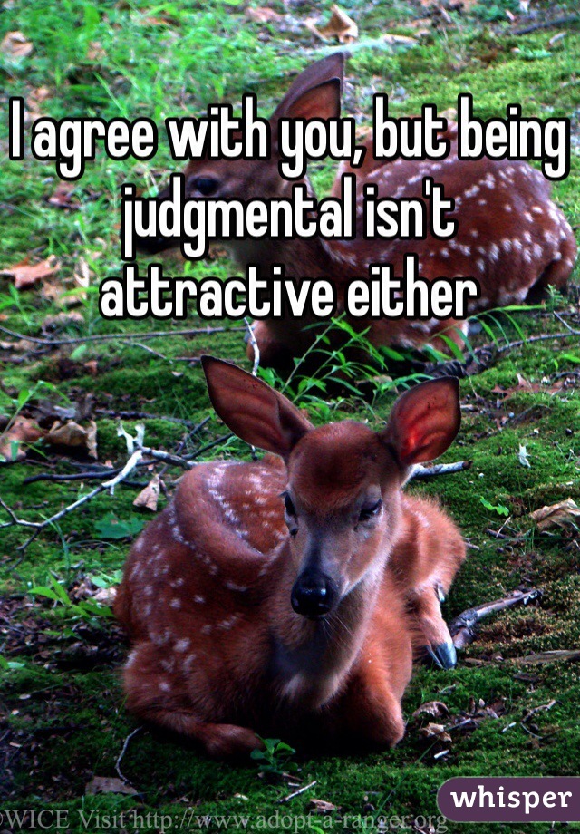 I agree with you, but being judgmental isn't attractive either
