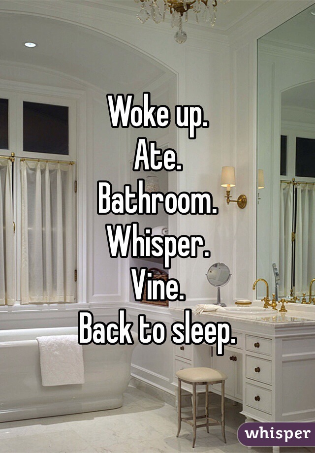 Woke up.
Ate.
Bathroom.
Whisper.
Vine.
Back to sleep.