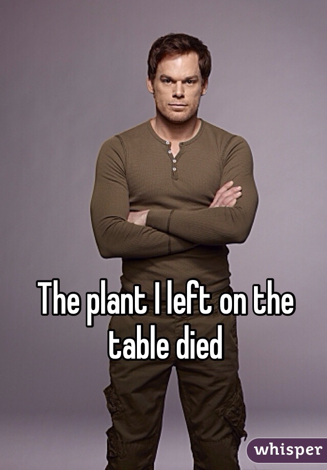 The plant I left on the table died 
