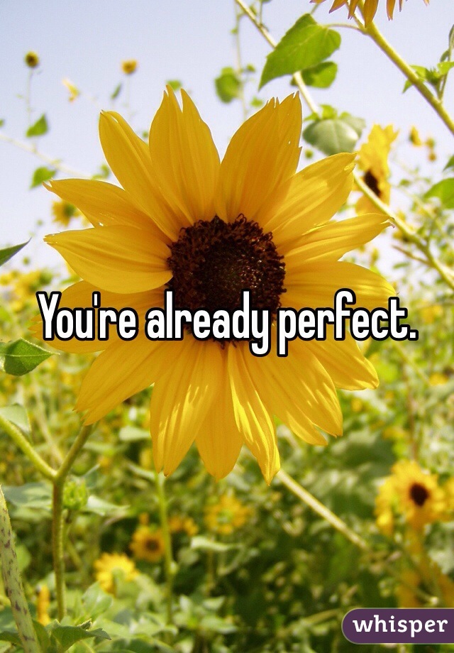 You're already perfect. 