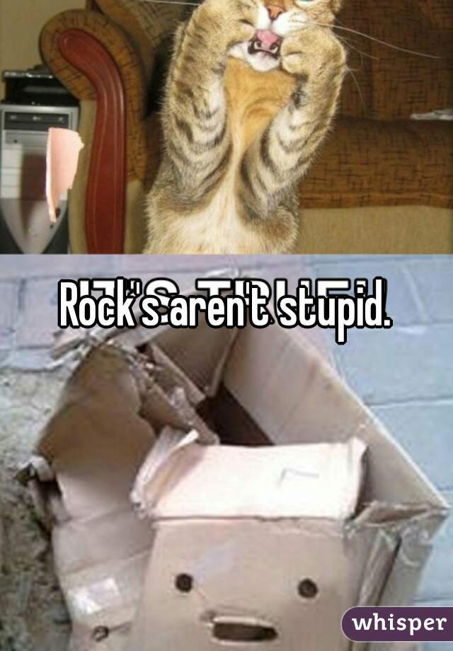 Rock's aren't stupid.