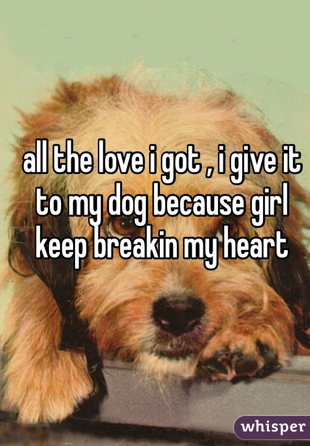 all the love i got , i give it to my dog because girl keep breakin my heart 