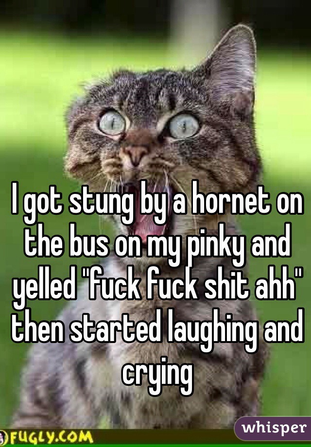I got stung by a hornet on the bus on my pinky and yelled "fuck fuck shit ahh" then started laughing and crying 