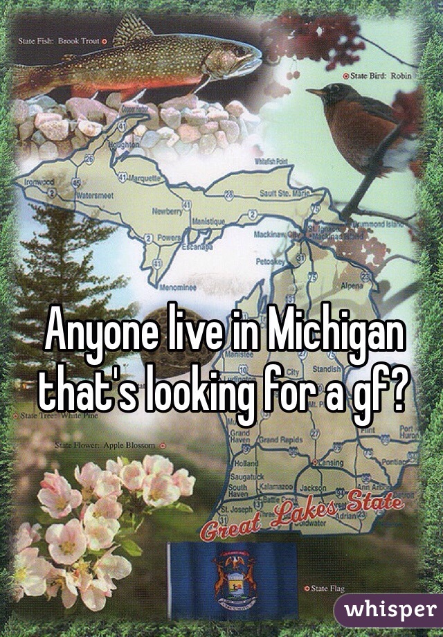 Anyone live in Michigan that's looking for a gf?