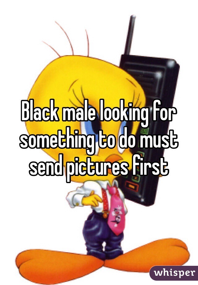 Black male looking for something to do must send pictures first