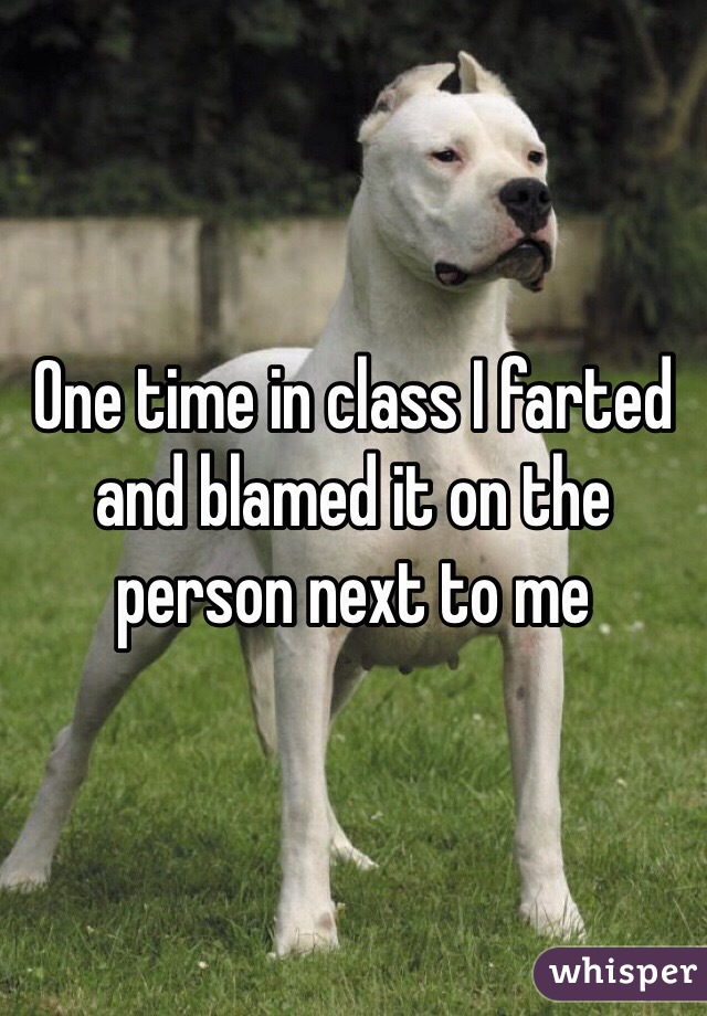 One time in class I farted and blamed it on the person next to me 