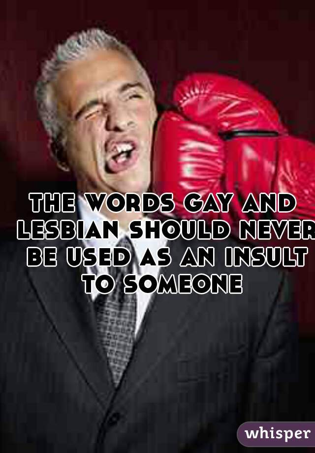 the words gay and lesbian should never be used as an insult to someone 