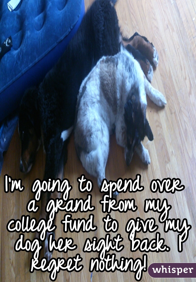 I'm going to spend over a grand from my college fund to give my dog her sight back. I regret nothing!  