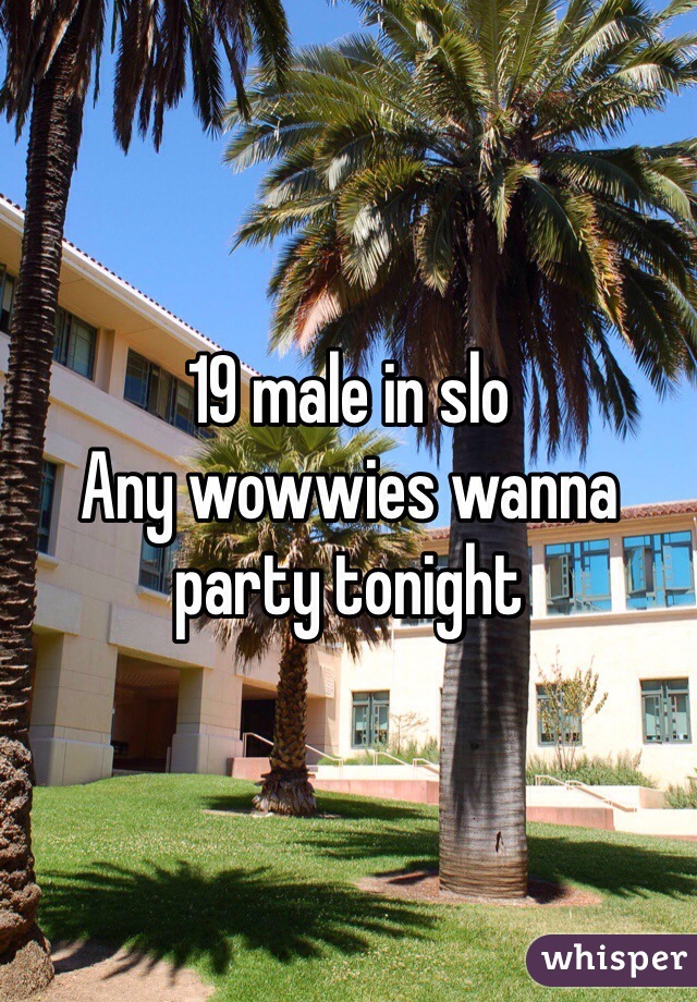 19 male in slo
Any wowwies wanna party tonight
