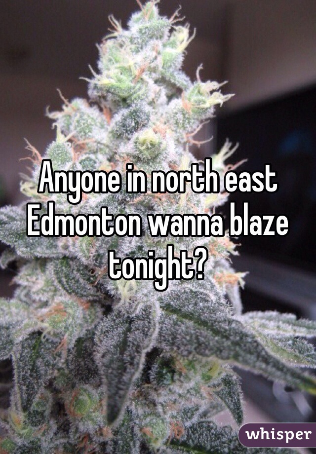 Anyone in north east Edmonton wanna blaze tonight?