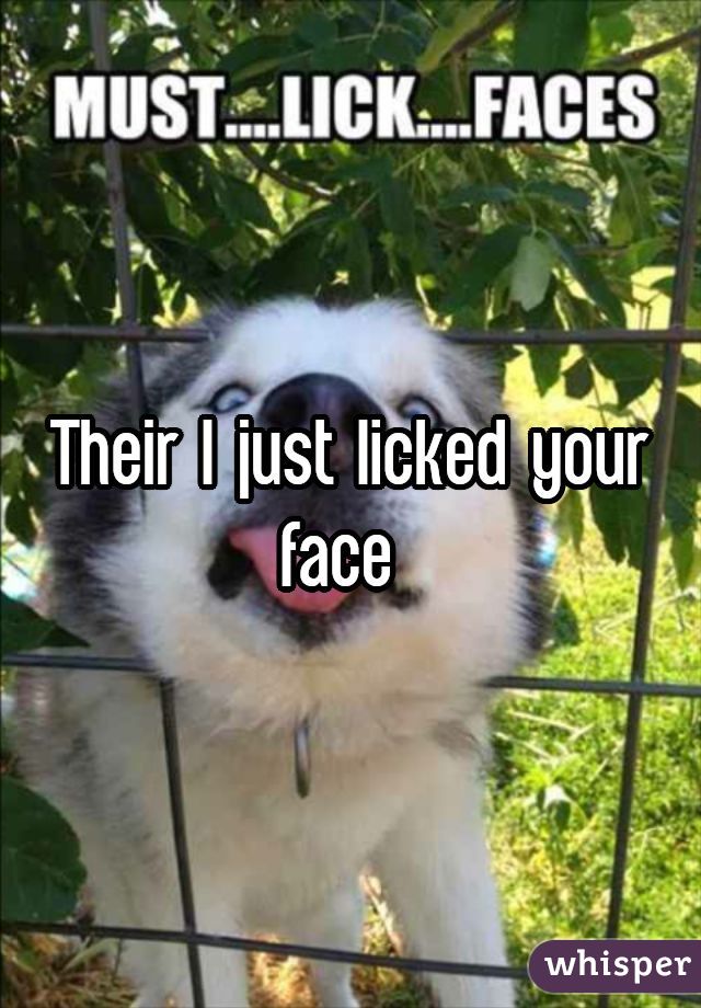 Their I just licked your face 