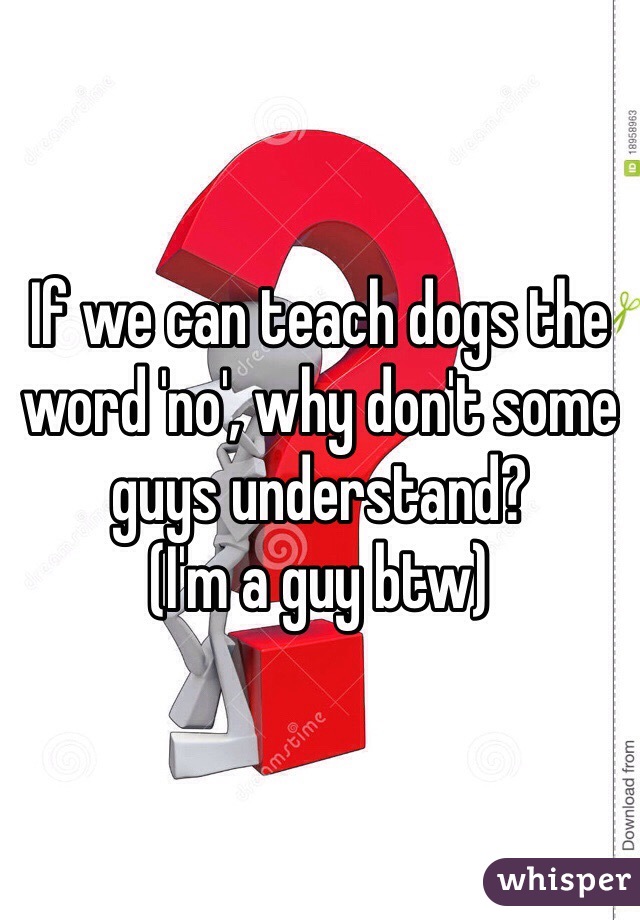 If we can teach dogs the word 'no', why don't some guys understand?
(I'm a guy btw)
