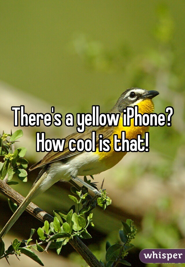 There's a yellow iPhone? How cool is that!
