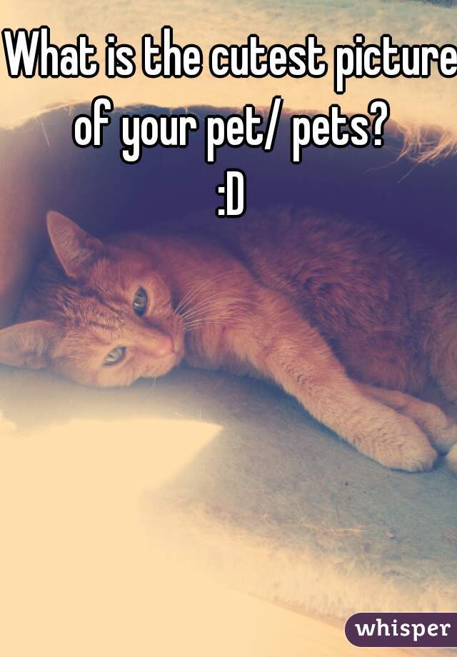What is the cutest picture of your pet/ pets? 
:D