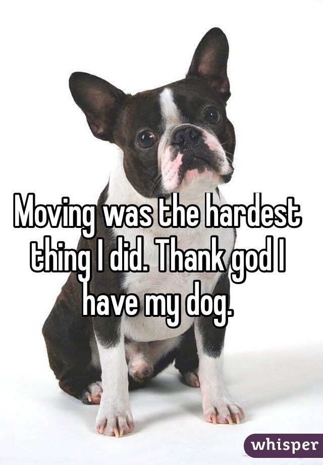Moving was the hardest thing I did. Thank god I have my dog.

