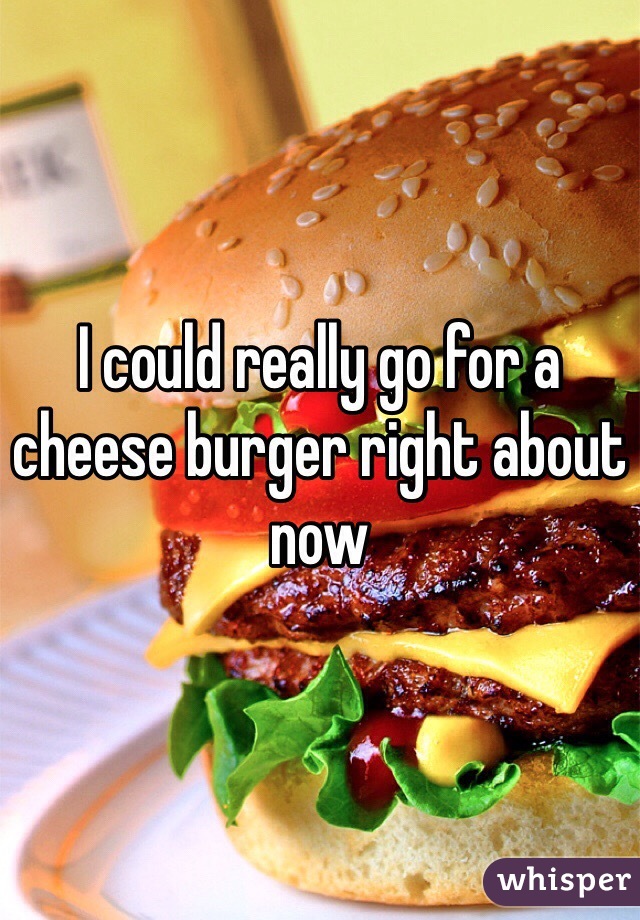 I could really go for a cheese burger right about now 
