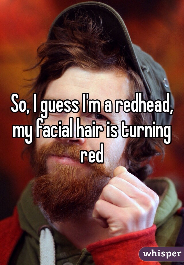 So, I guess I'm a redhead, my facial hair is turning red 