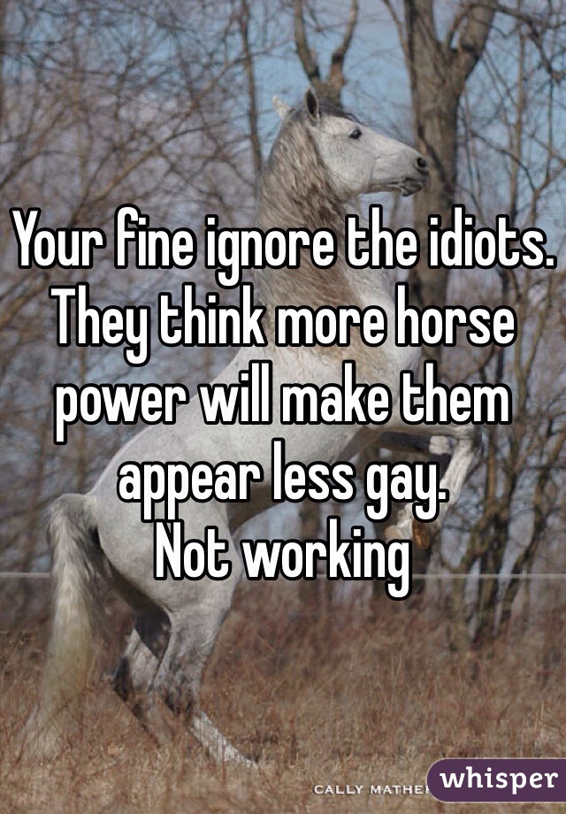 Your fine ignore the idiots.
They think more horse power will make them appear less gay.
Not working 