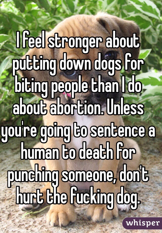 I feel stronger about putting down dogs for biting people than I do about abortion. Unless you're going to sentence a human to death for punching someone, don't hurt the fucking dog.