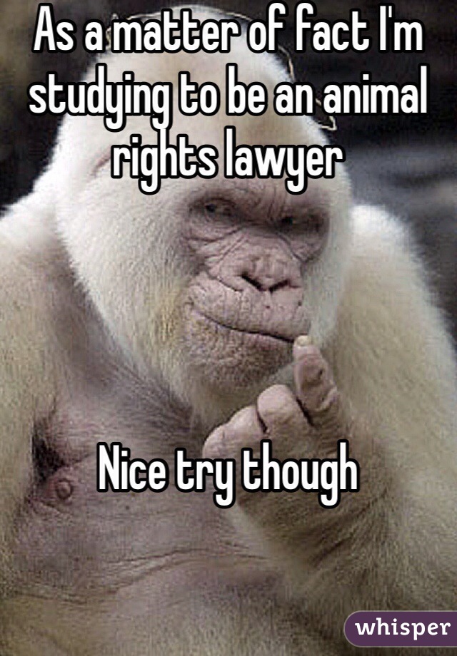 As a matter of fact I'm studying to be an animal rights lawyer




Nice try though 