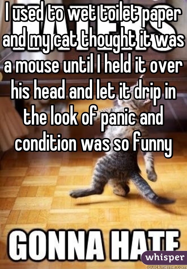I used to wet toilet paper and my cat thought it was a mouse until I held it over his head and let it drip in the look of panic and condition was so funny 
