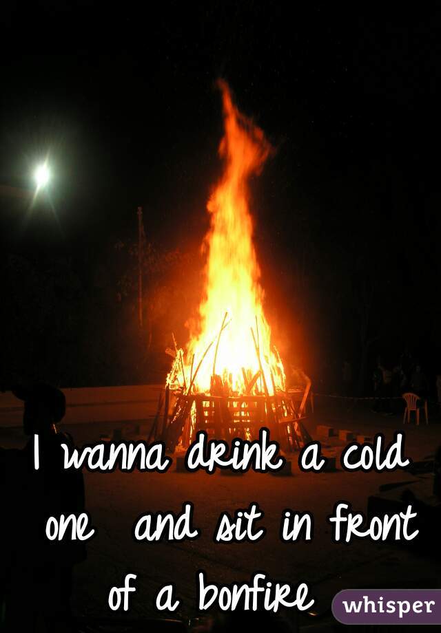 I wanna drink a cold one  and sit in front of a bonfire  