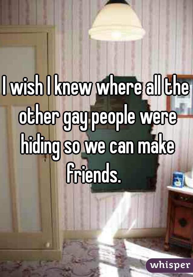 I wish I knew where all the other gay people were hiding so we can make friends.  