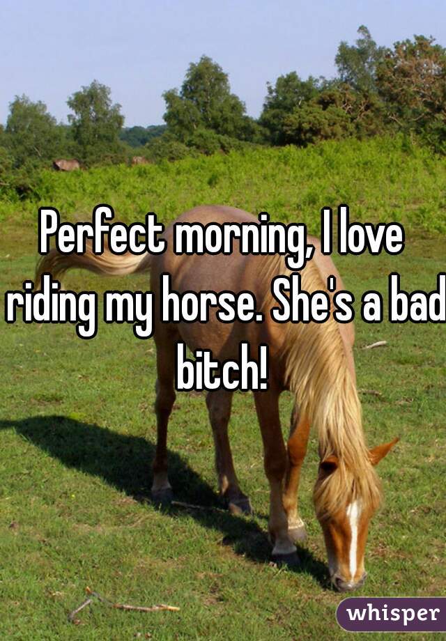 Perfect morning, I love riding my horse. She's a bad bitch! 