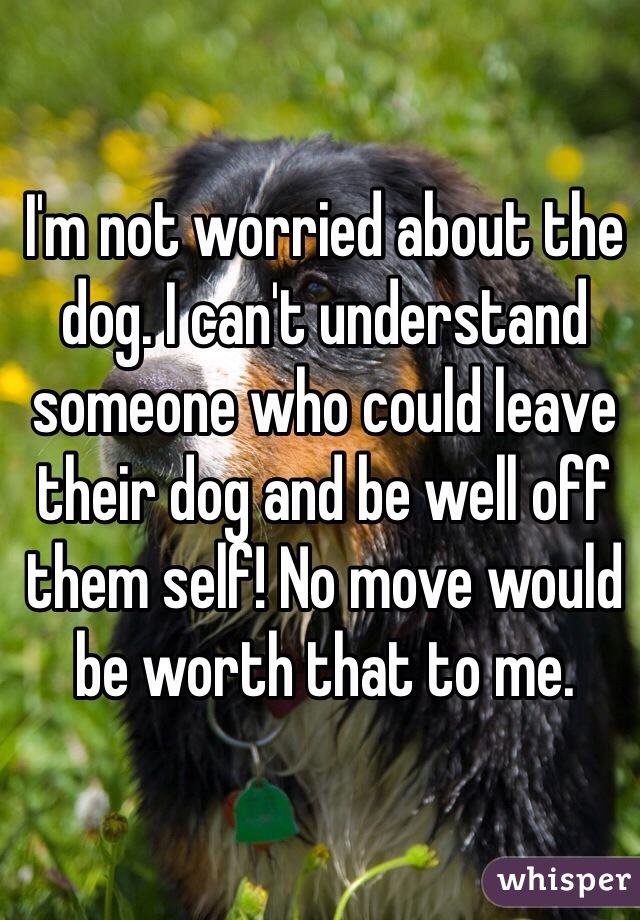 I'm not worried about the dog. I can't understand someone who could leave their dog and be well off them self! No move would be worth that to me.