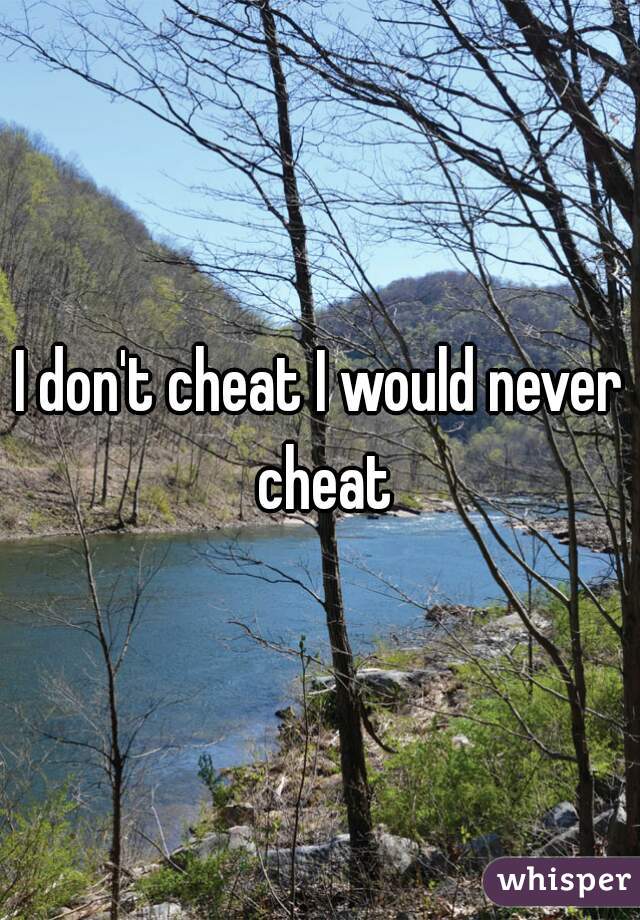 I don't cheat I would never cheat